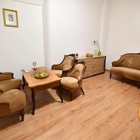 Golden Goose Apartment