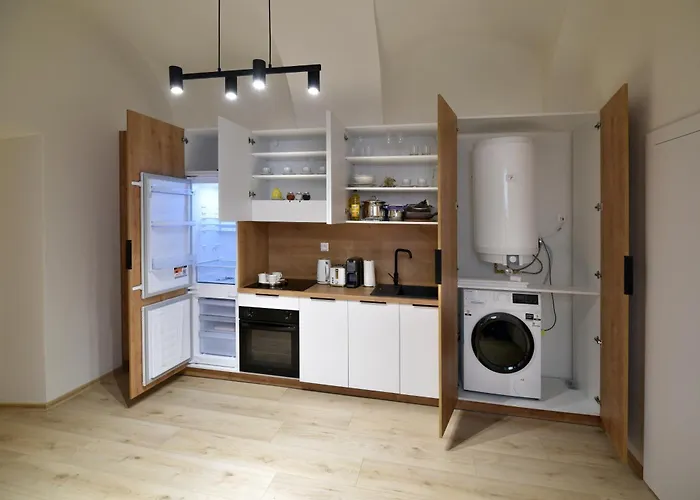 Апартаменты Golden Goose *